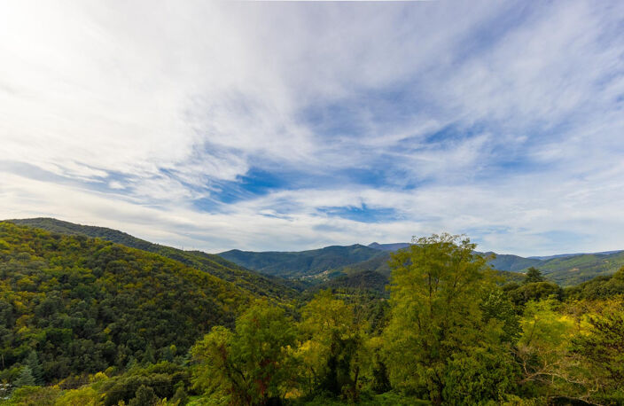 MUR COMMERCIAUX PANORAMIQUE CEVENNES MERIDIONNALE IDEAL REST — photo 3