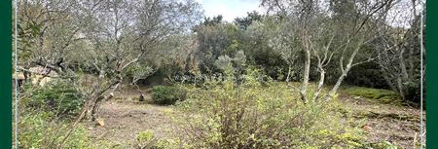 Terrain  505 m² à vendre à Piolenc (84420)