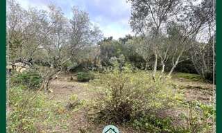 Terrain  505 m² à vendre à Piolenc (84420)