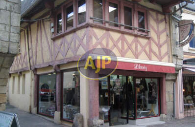 Local mixte (Pro/Hab) à vendre à Pontivy — photo du bien
