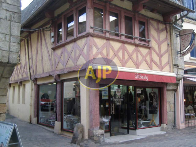 Local mixte (Pro/Hab) à vendre à Pontivy — photo du bien