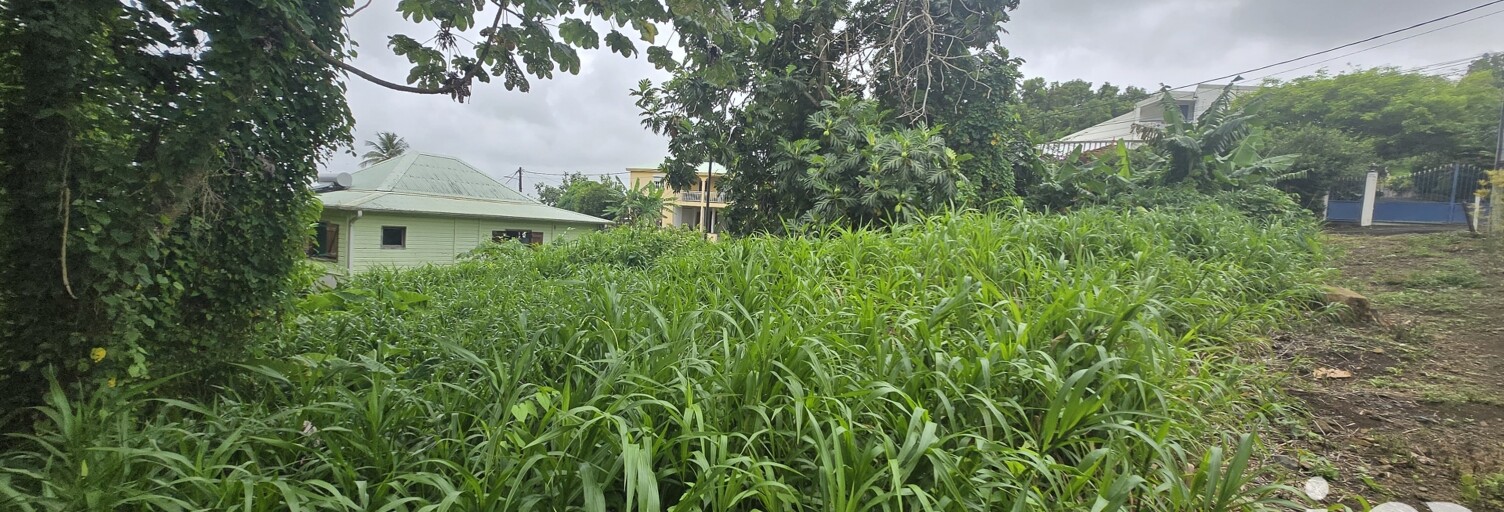 Terrain  630 m² à vendre à Le Lamentin (97232)