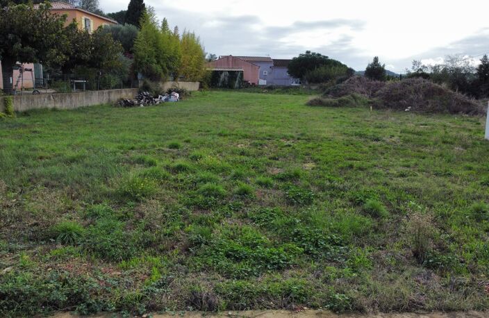 Terrain — photo 4