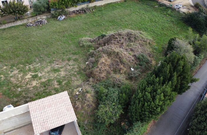 Terrain — photo 5