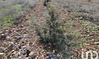 Terrain  4952 m² à vendre à Sainte-Cécile-les-Vignes (84290)