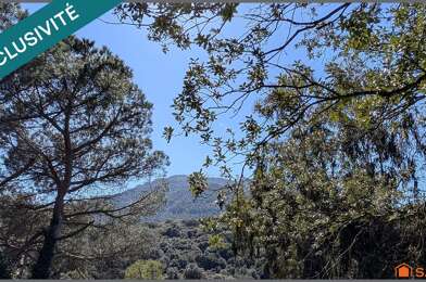 Terrain  215000 €