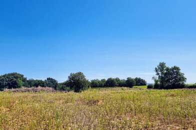 Terrain  74000 €