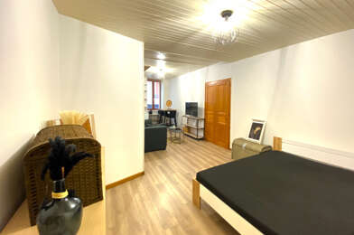 Appartement 1 pièces 550 €