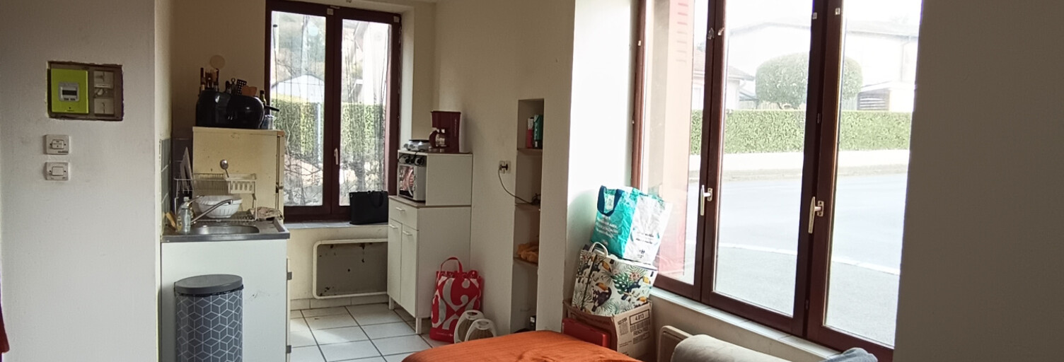 Appartement 1 Pièce 22 m² à vendre à Sourcieux-les-Mines (69210)