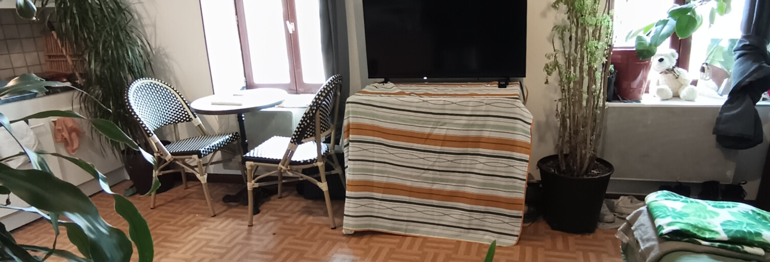 Appartement 2 Pièces 30 m² à vendre à Sourcieux-les-Mines (69210)