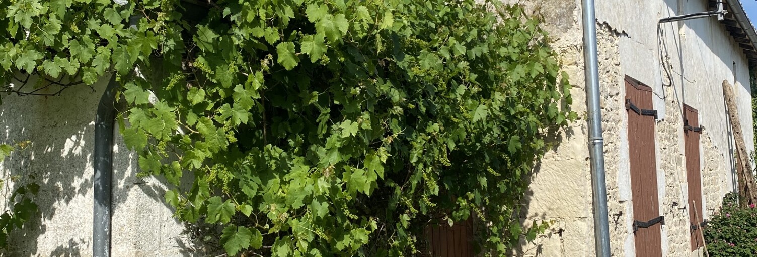 Maison 1 Pièce 150 m² à vendre à Brioux-sur-Boutonne (79170)