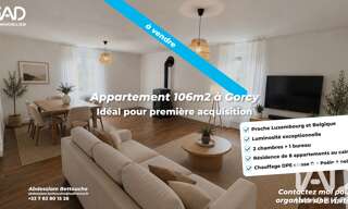 Appartement 4 Pièces 106 m² à vendre à Gorcy (54730)