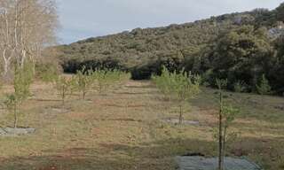 Terrain  6460 m² à vendre à Valliguières (30210)