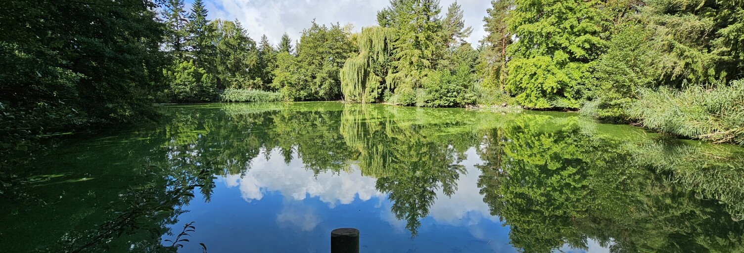 Terrain  9000 m² à vendre à Noyers (45260)