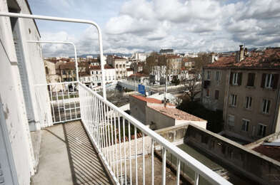 Appartement 3 pièces 850 €