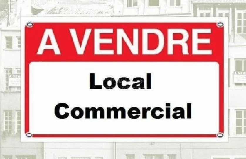 Local commercial  à vendre Saint-Savinien 17350