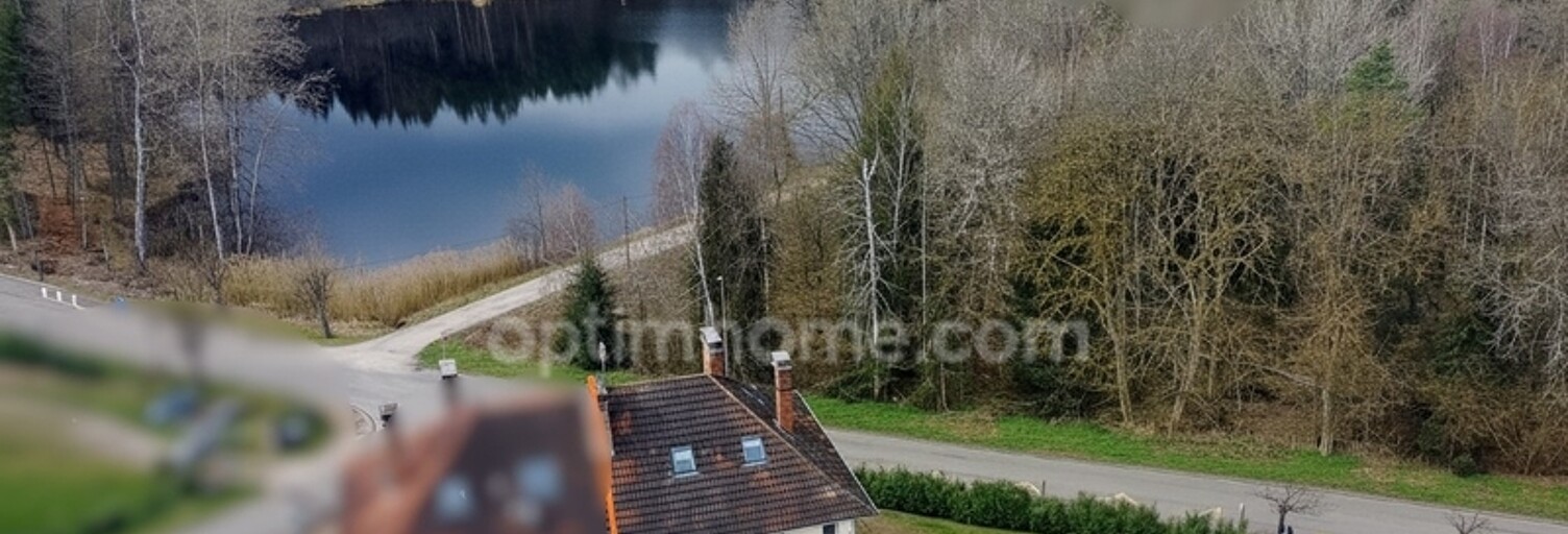 Immeuble  150 m² à vendre à Dambach (67110)