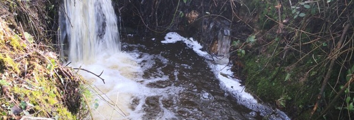 Terrain  79300 m² à vendre à Moncontour (22510)