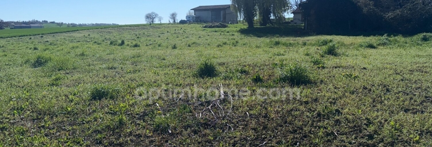 Terrain  584 m² à vendre à Cadours (31480)