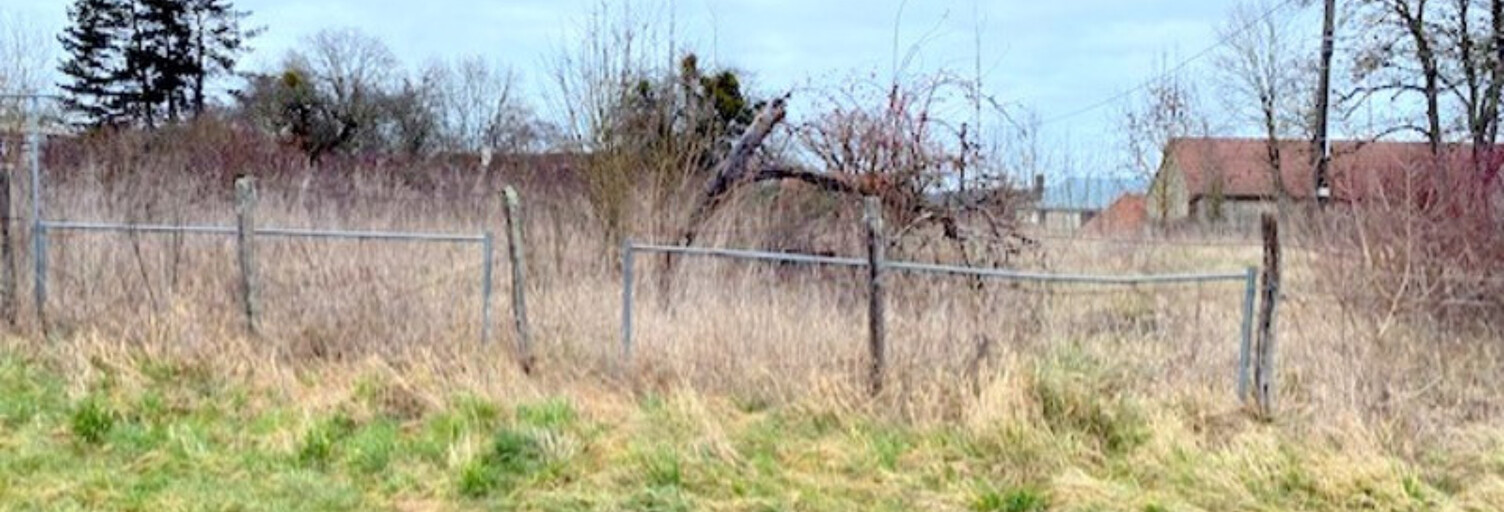 Terrain  1117 m² à vendre à Cerisiers (89320)