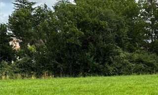 Terrain  1200 m² à vendre à Pineuilh (33220)