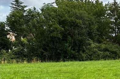 Terrain  49000 €