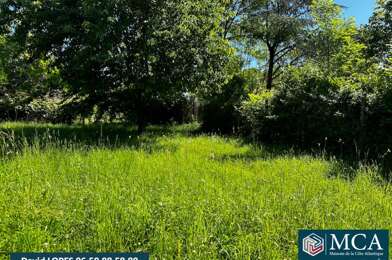 Terrain  85000 €