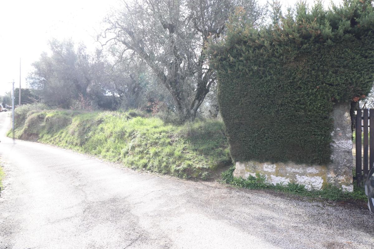 Photo Terrain Contes