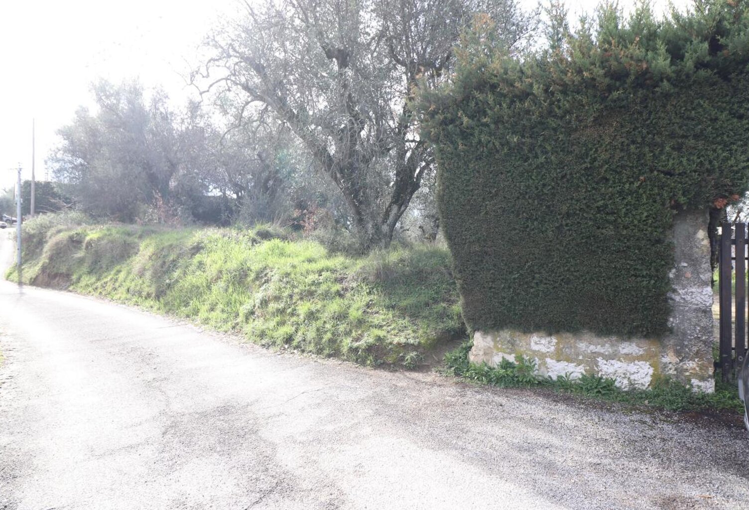 CONTES - Chemin Saint Martin - Terrain constructible 1264 m² — photo 1