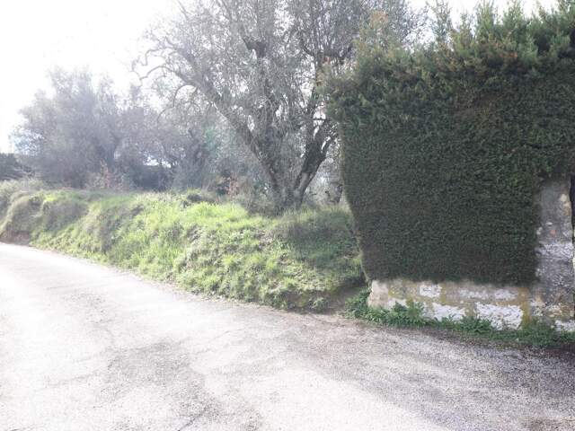 CONTES - Chemin Saint Martin - Terrain constructible 1264 m² — photo du bien