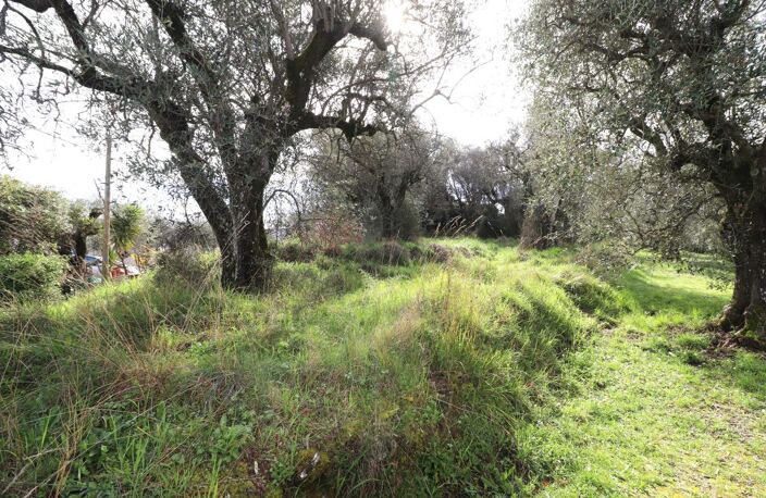 CONTES - Chemin Saint Martin - Terrain constructible 1264 m² — photo 3