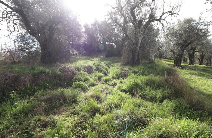 CONTES - Chemin Saint Martin - Terrain constructible 1264 m² — photo 4