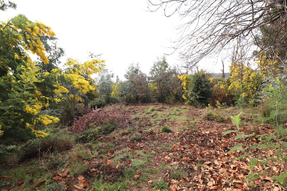 Photo Terrain agricole Berre les Alpes