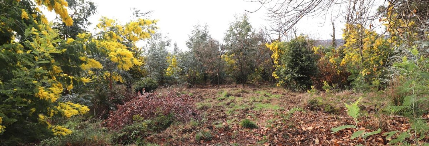 Terrain  6738 m² à vendre à Berre-les-Alpes (06390)