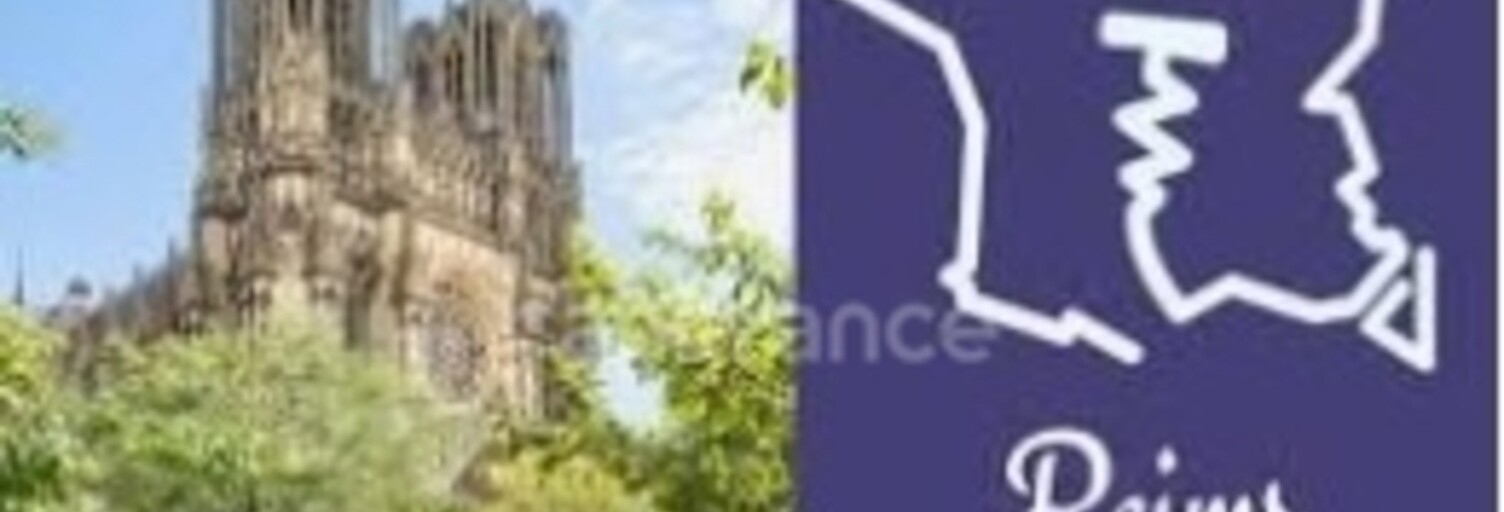 Commerce 46 Pièces 3400 m² à vendre à Reims (51100)