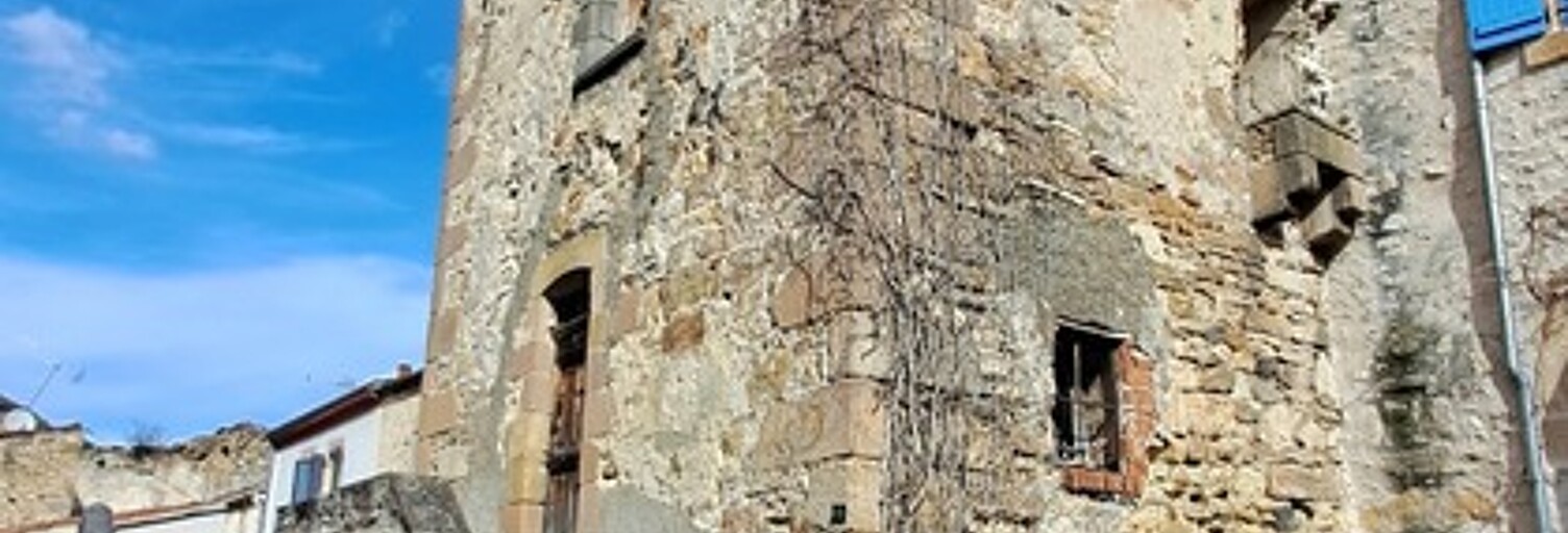 Photo N° 2