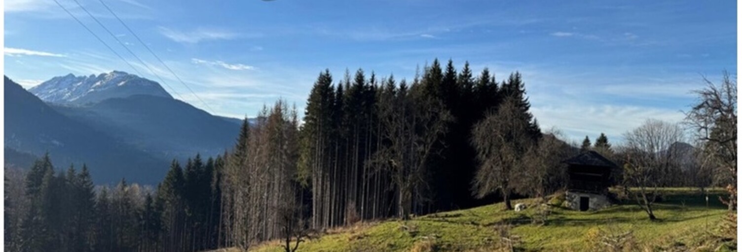 Terrain  15405 m² à vendre à Arâches-la-Frasse (74300)