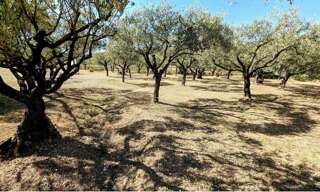 Terrain 1200 m² à construire Lorgues (83510)