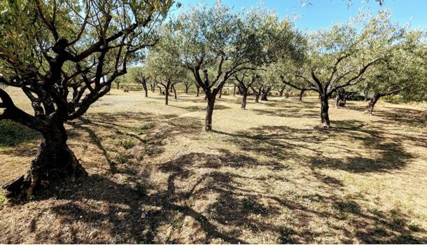 Terrain  à vendre Lorgues 83510