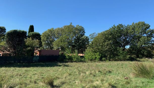 Terrain  à vendre Draguignan 83300