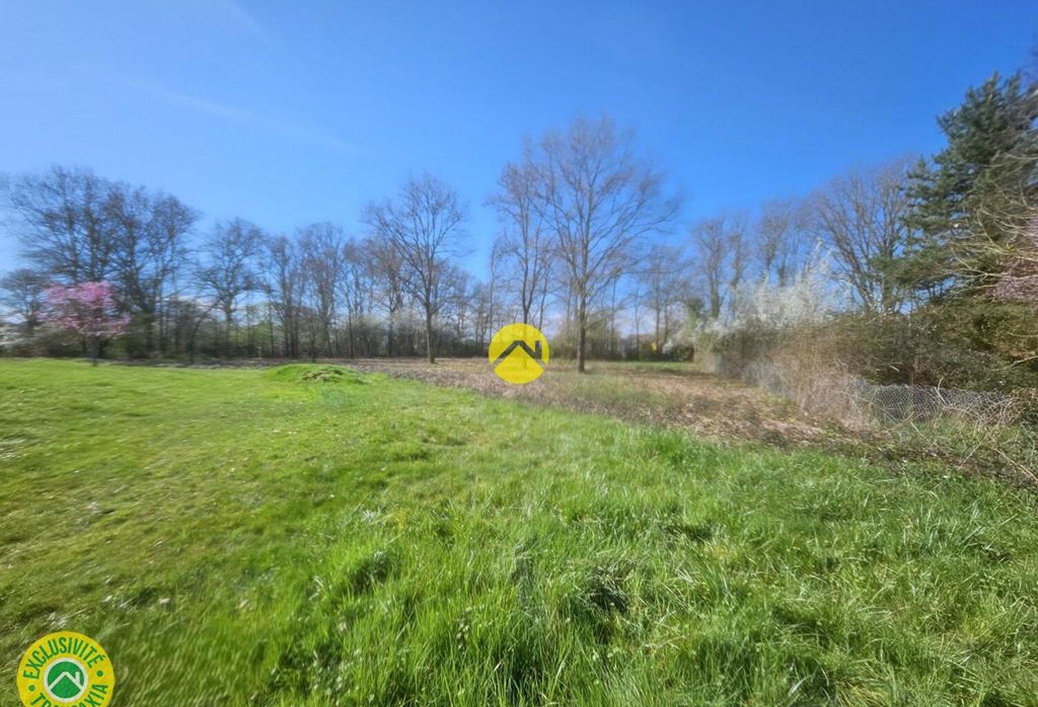 terrain possibilité de diviser — photo 1