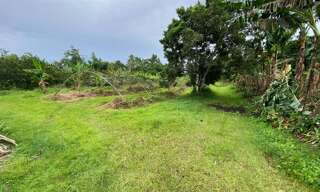 Terrain  4800 m² à vendre à Basse-Pointe (97218)