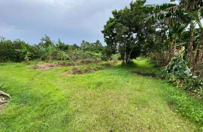 Terrain À Vendre à Basse Pointe — photo du bien