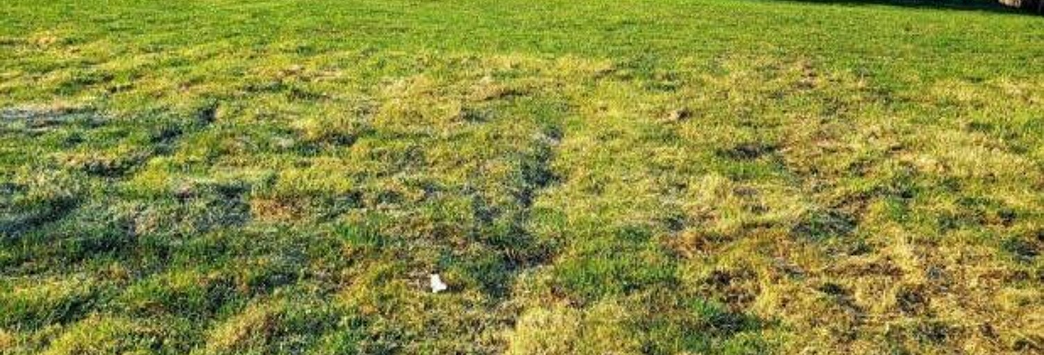 Terrain  2119 m² à vendre à Aixe-sur-Vienne (87700)