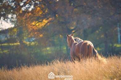 Maison 10 pièces 549200 €