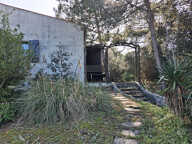 Maison atypique à rénover à 100 m de l'océan, au calme entre forêt et dunes — photo 4