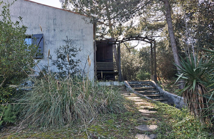 Maison atypique à rénover à 100 m de l'océan, au calme entre forêt et dunes — photo 4
