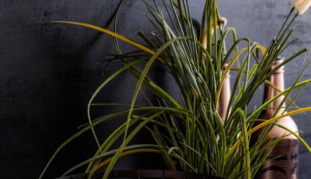 Appartement 3 pièces  à vendre Marseille 1er 13001