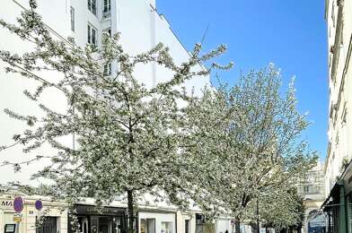 Appartement 1 pièces 250000 €