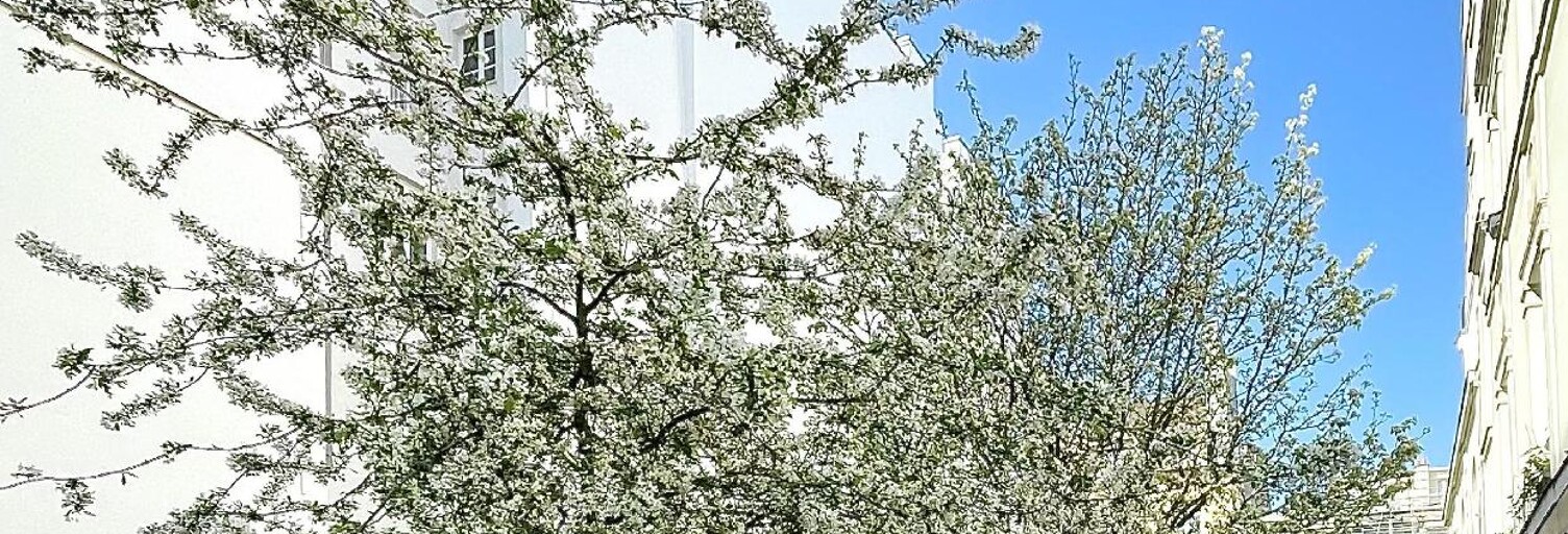 Appartement 1 Pièce 17 m² à vendre à Paris 6 (75006)